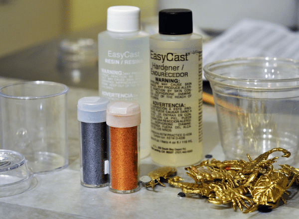 Insects Cast in EasyCast Clear Casting Epoxy - Resin Crafts Blog