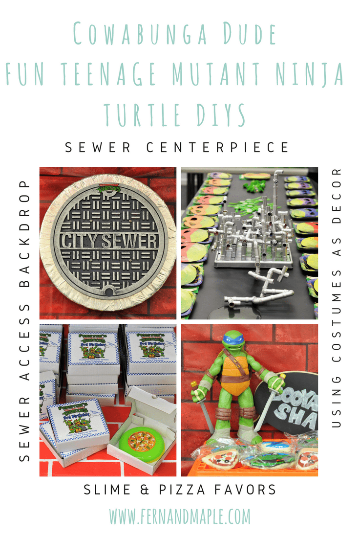 Fun Teenage Mutant Ninja Turtle Party Ideas Dude!