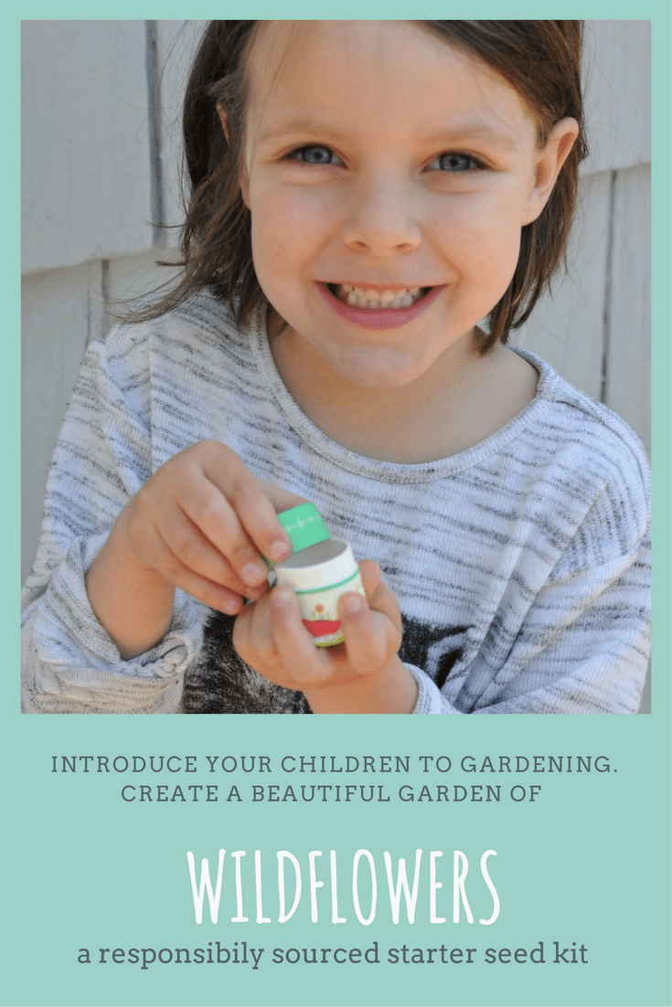 Teaching Your Kids to Garden With a Seed Starter Kits | Fern and Maple Events and Party Blog Teaching Your Kids to Garden With a Seed Starter Kits | Fern and Maple Events and Party Blog