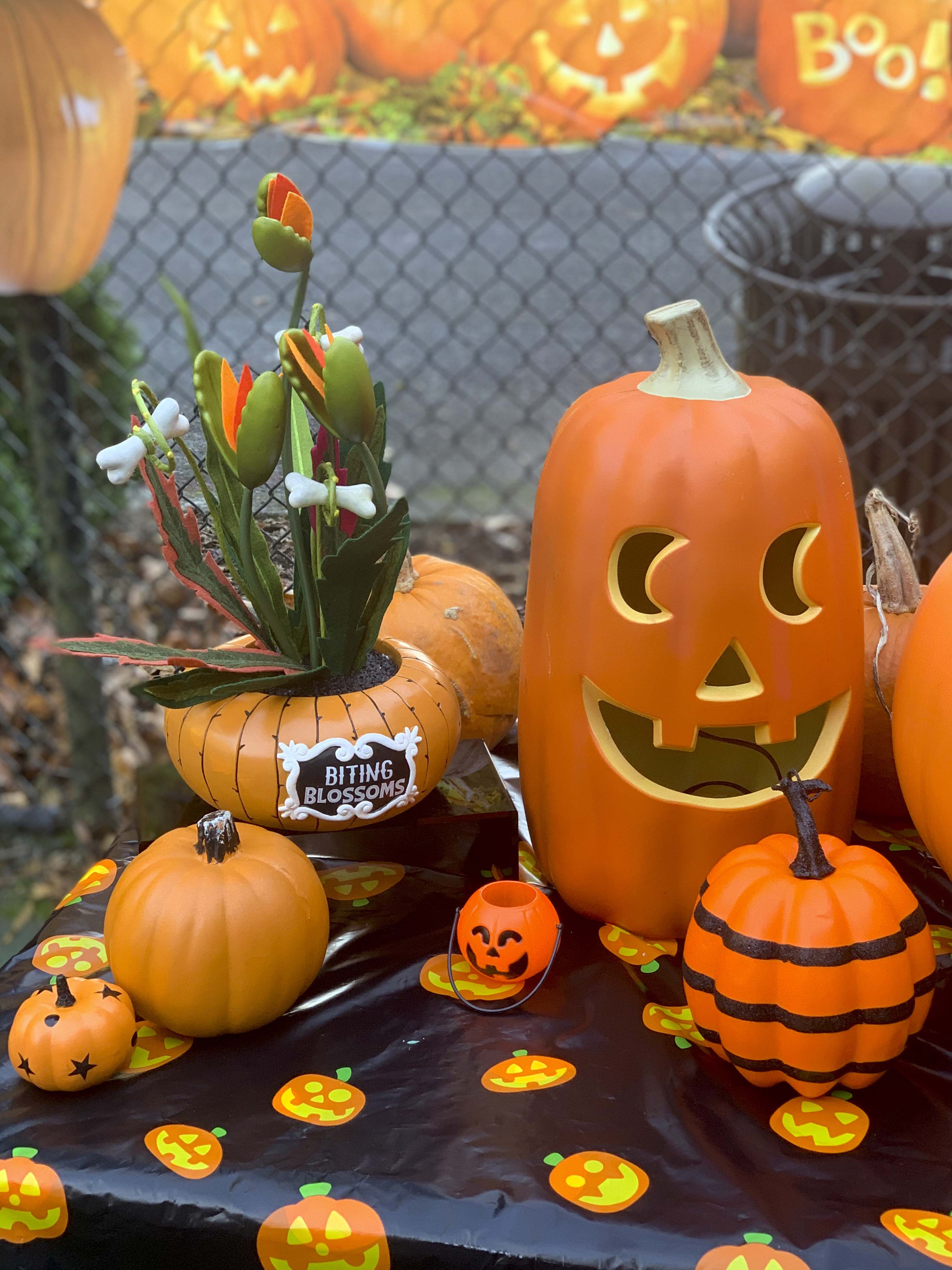 halloween community festival pumpkin patch table