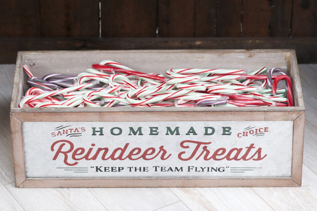 Pom Pom Party for the Holidays reindeer treat candy canes