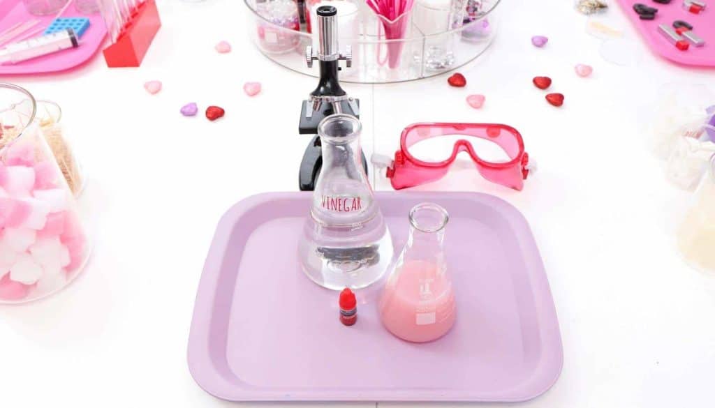 Create a "Laboratory of Love" for kids who love to learn this Valentine's Day! Get all of the details for a pink and red Valentine's Day Science Party for kids now at fernandmaple.com!