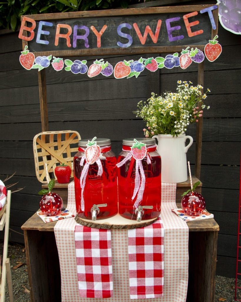 Strawberry Garland, Strawberry Bunting, Strawberry Banner, Strawberry Party  Decor, Strawberry Photo Prop, Berry First Birthday, Berry Sweet by Double  the Fun Parties