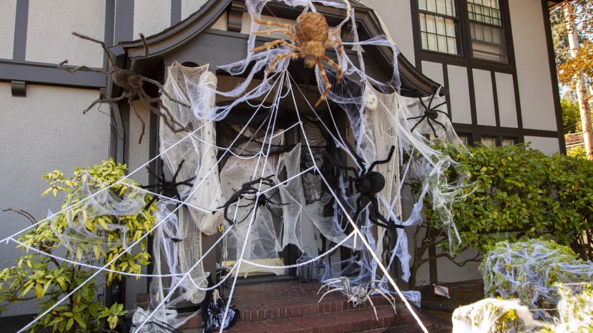 Halloween spider deals web for house