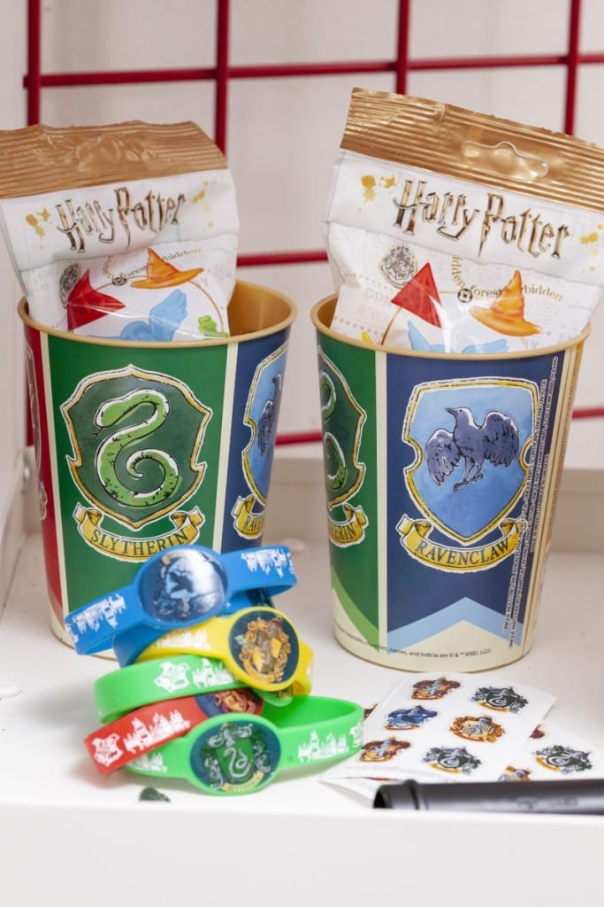 Harry Potter Birthday Party for Kids - Fern and Maple