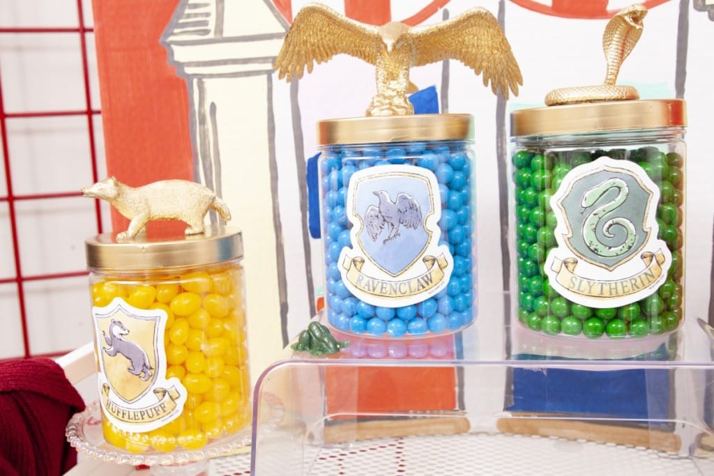 Harry Potter Birthday Favors Videos