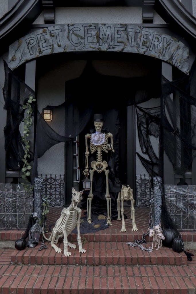 Animal deals halloween decorations