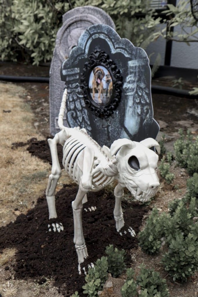 Pet Cemetery Yard Decoration