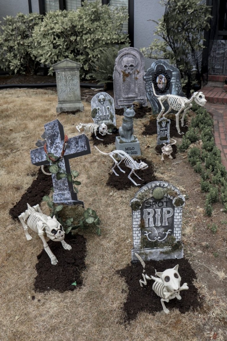 Pet Cemetery Halloween Yard Decoration Ideas Fern and Maple