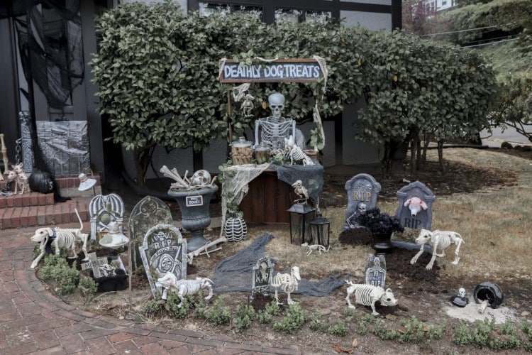 Pet Cemetery Halloween Yard Decoration Ideas Fern and Maple