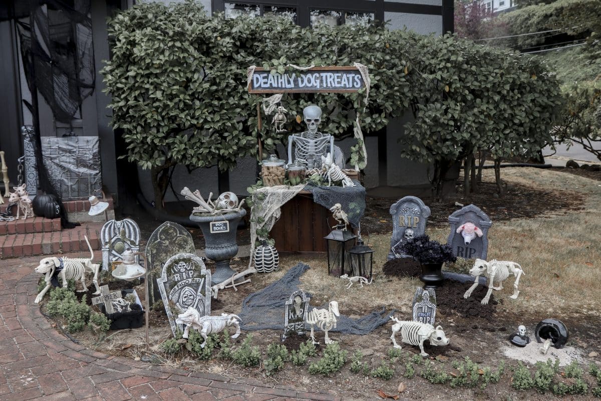 Halloween graveyard deals ideas