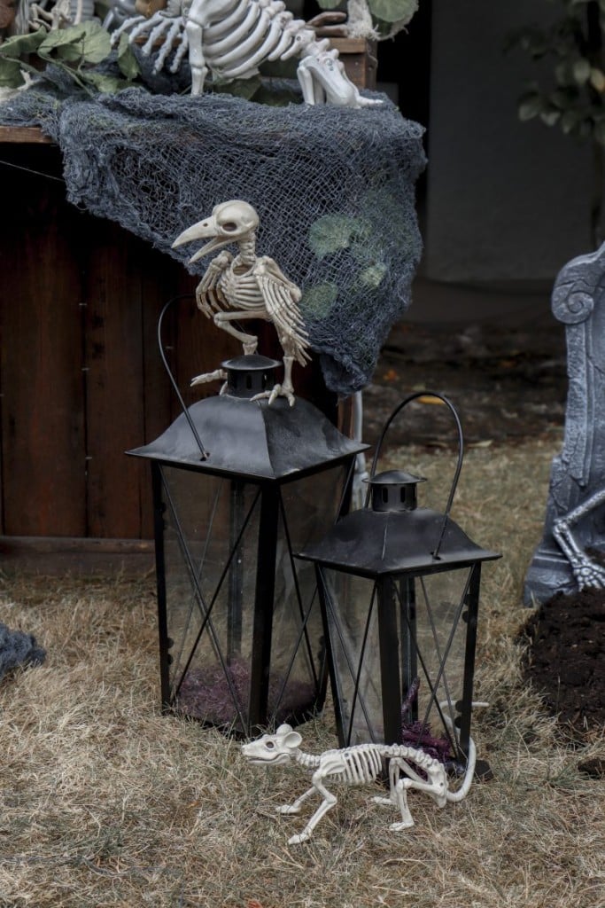 Pet Cemetery Yard Decoration