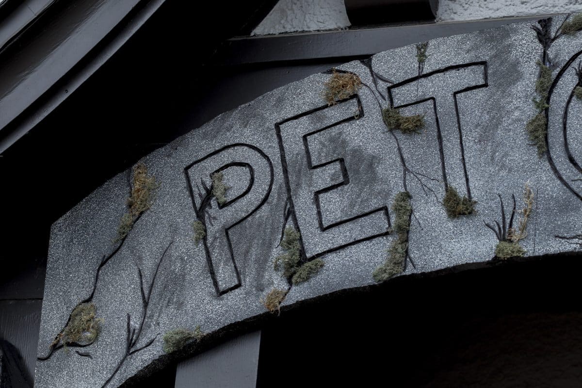 Pet Cemetery Halloween Yard Decoration Ideas Fern And Maple